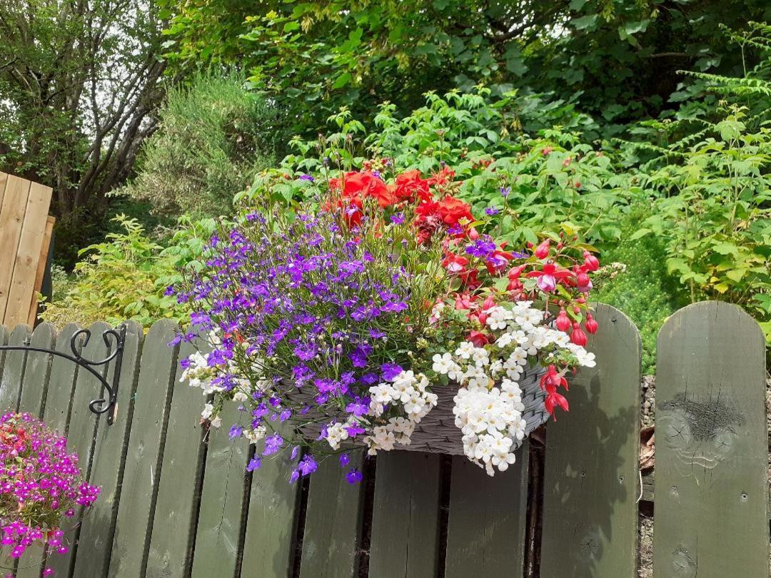 Torrent Cottage Coalisland Zewnętrze zdjęcie